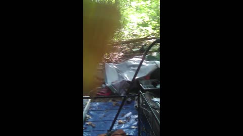 Cleaning it up 5 Pt. 1-5