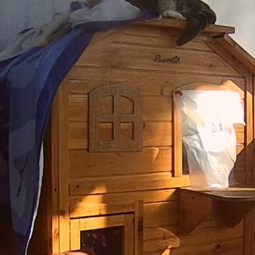 EA S169 - Tired But Watchful