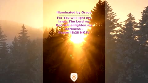Illuminated by Grace