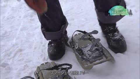 Wild Hokkaido！ 雪山探検！氷の洞窟