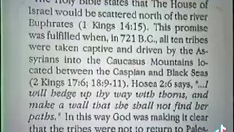 You are Caucasian, you are also an Israelite according to Webster's Bible❓