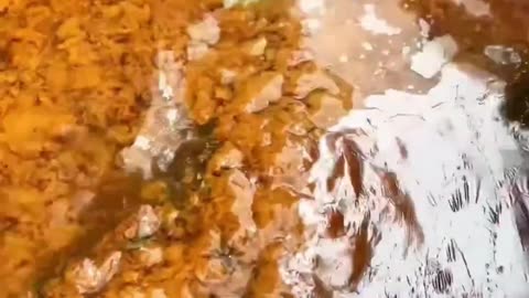 Real Gold Particle Collection