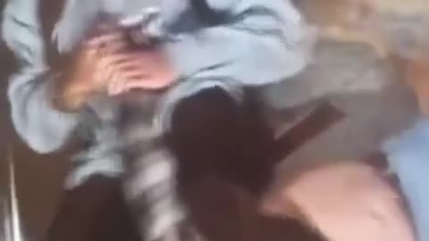 😂🥊 Don't Pick a Fight with Someone in an ADCC Hoodie | FCN