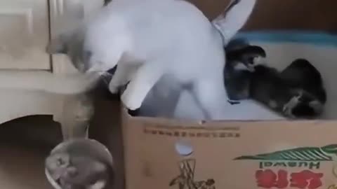 First Time Parents