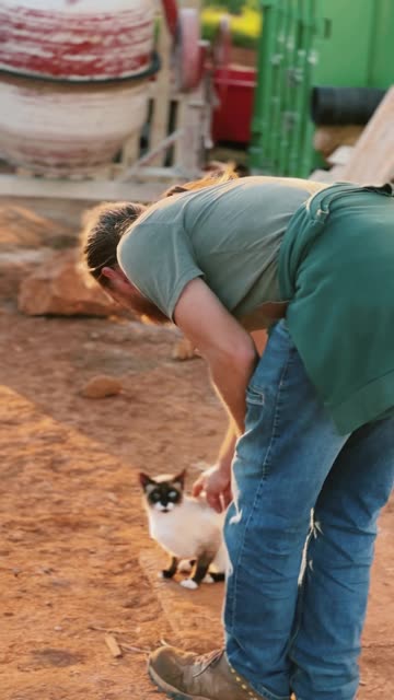 🐈 Every farm needs some cats. Ours take the job very seriously! 🐾
