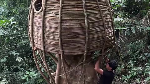 Can you believe you can camp overnight in a tree?