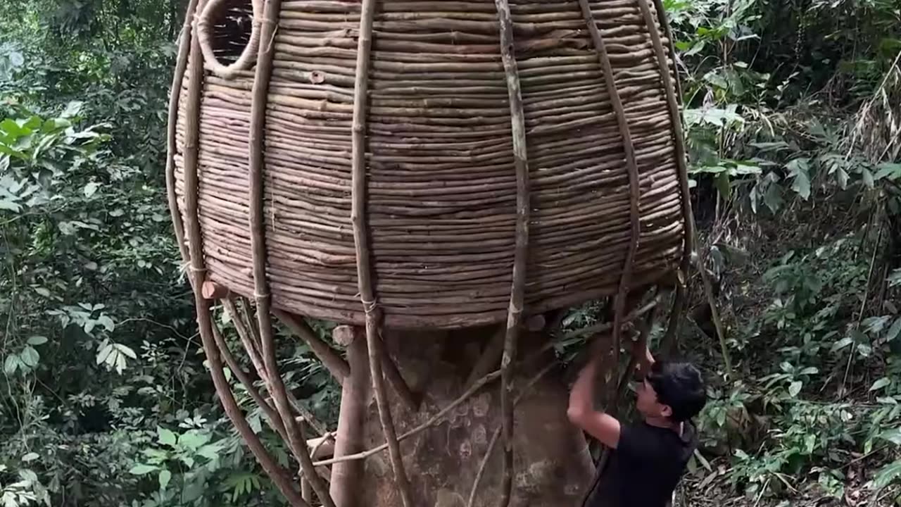 Can you believe you can camp overnight in a tree?