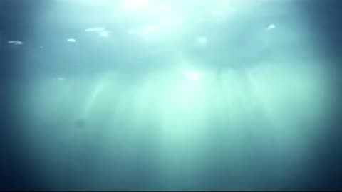 Mermaids Part 4