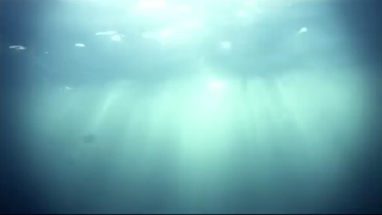 Mermaids Part 4