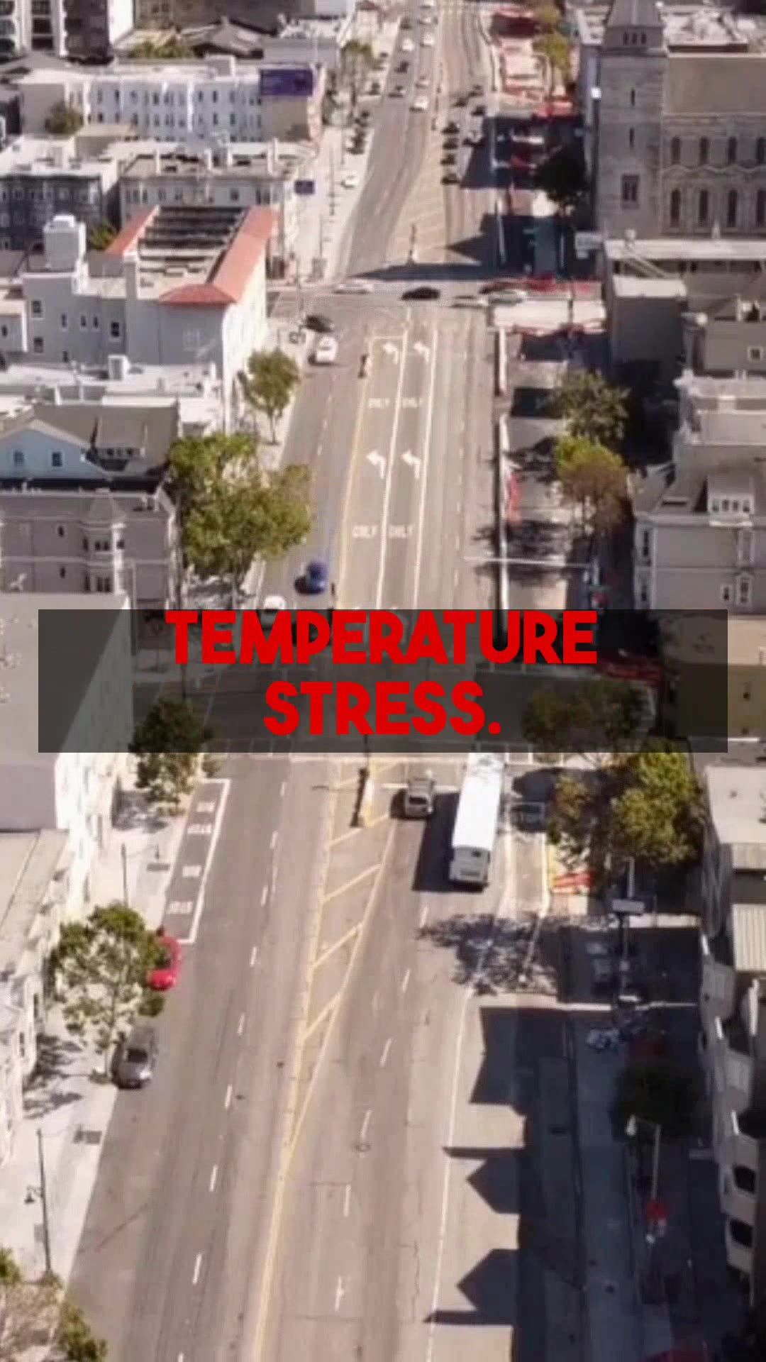 Gable Roof Safety and Structure Expert Building Analysis