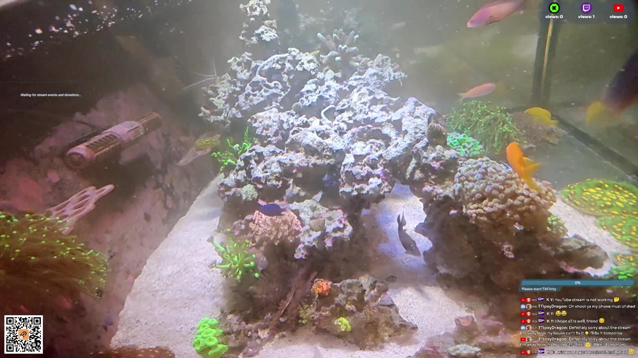 24/7 Real Live Reef Stream