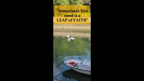A Crane and its Leap of Faith