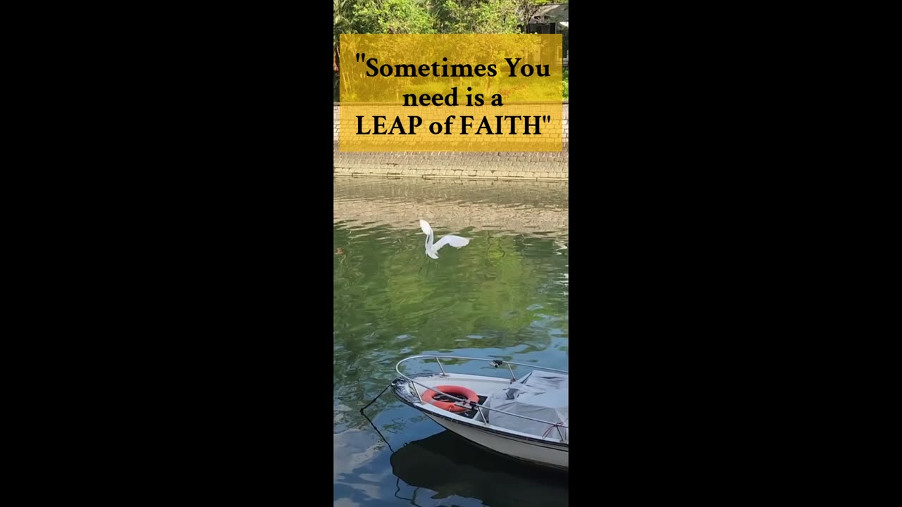 A Crane and its Leap of Faith | 鶴的信仰之躍