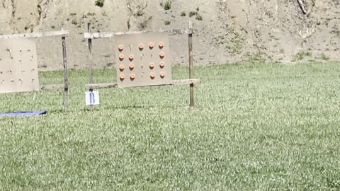 Pigeon board getting peppered