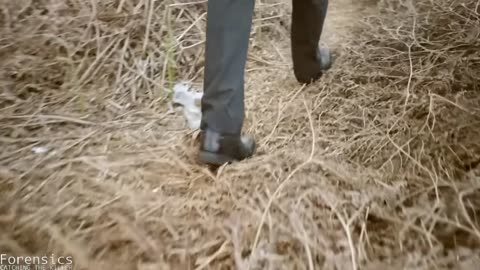 [NEW] Forensics: Catching the Killer S04 E04 - The Murder in the Deli UK Murder Documentary