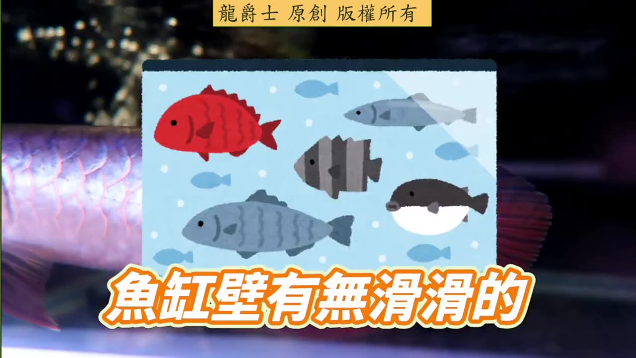 【龍爵士】千問千答 Q234 要怎麼知道魚缸裡有沒有菌
