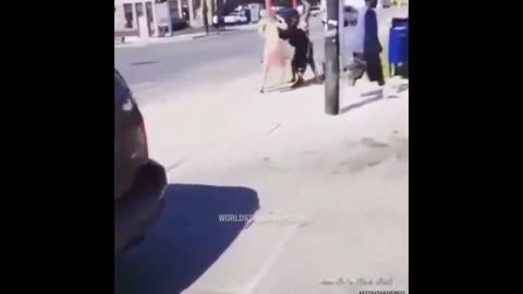Daddy Goat 24/7 - Out Of Context Memes & Videos