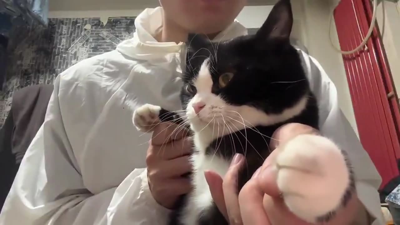 The long paused kiIIed me