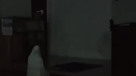 👹😱 Skinwalker or Shadow? Creepy Encounter Unfolds | TheHauntingHour