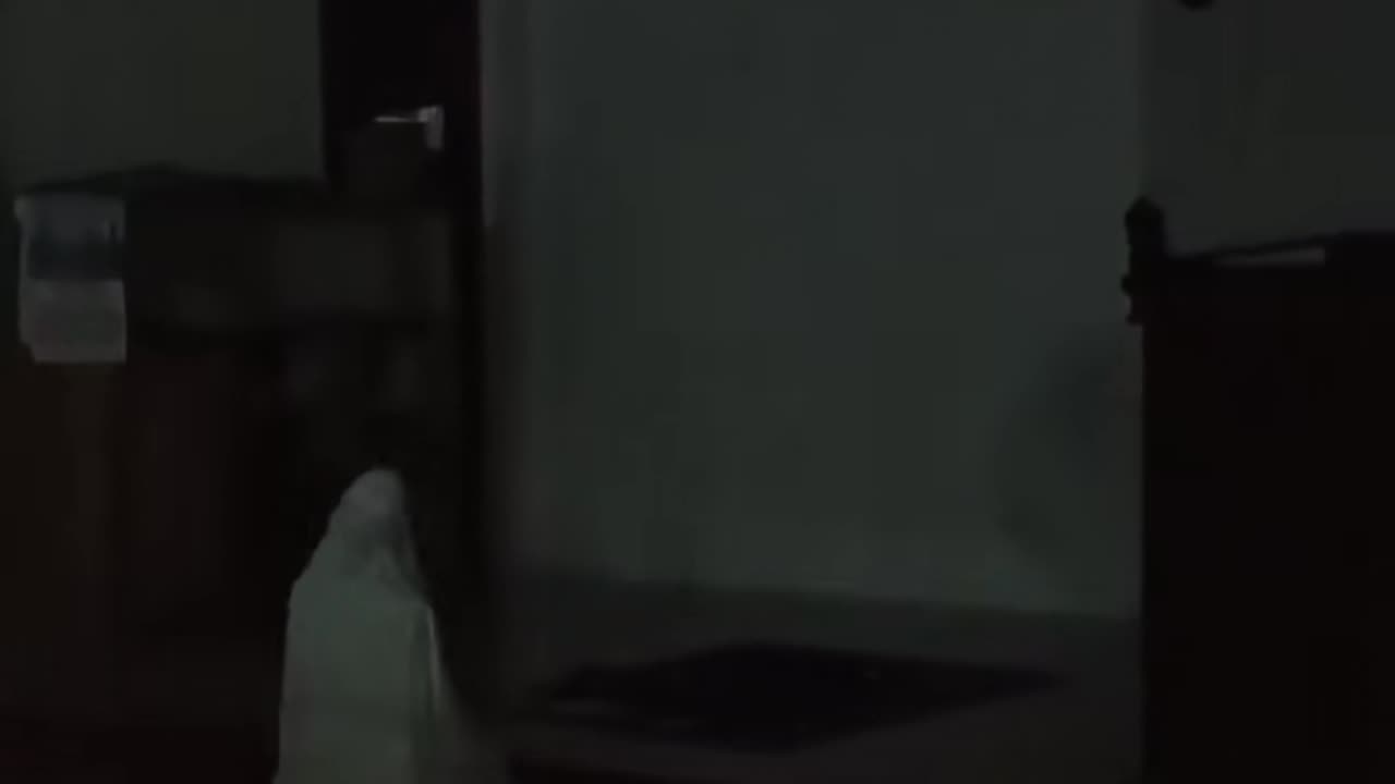 👹😱 Skinwalker or Shadow? Creepy Encounter Unfolds | TheHauntingHour