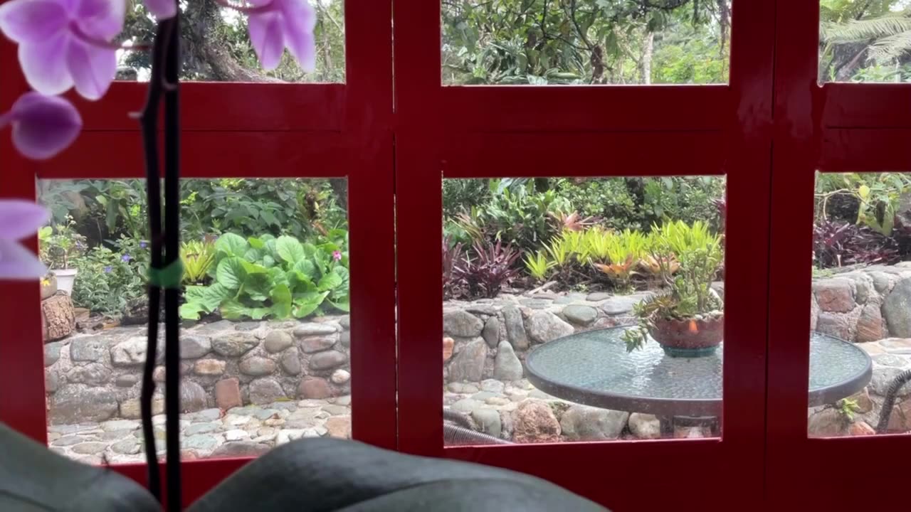 #gift Day 10 [30-Day Dance with 30-Seconds]