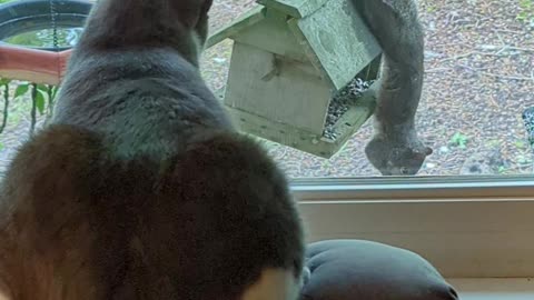 Window Prevents Certain End