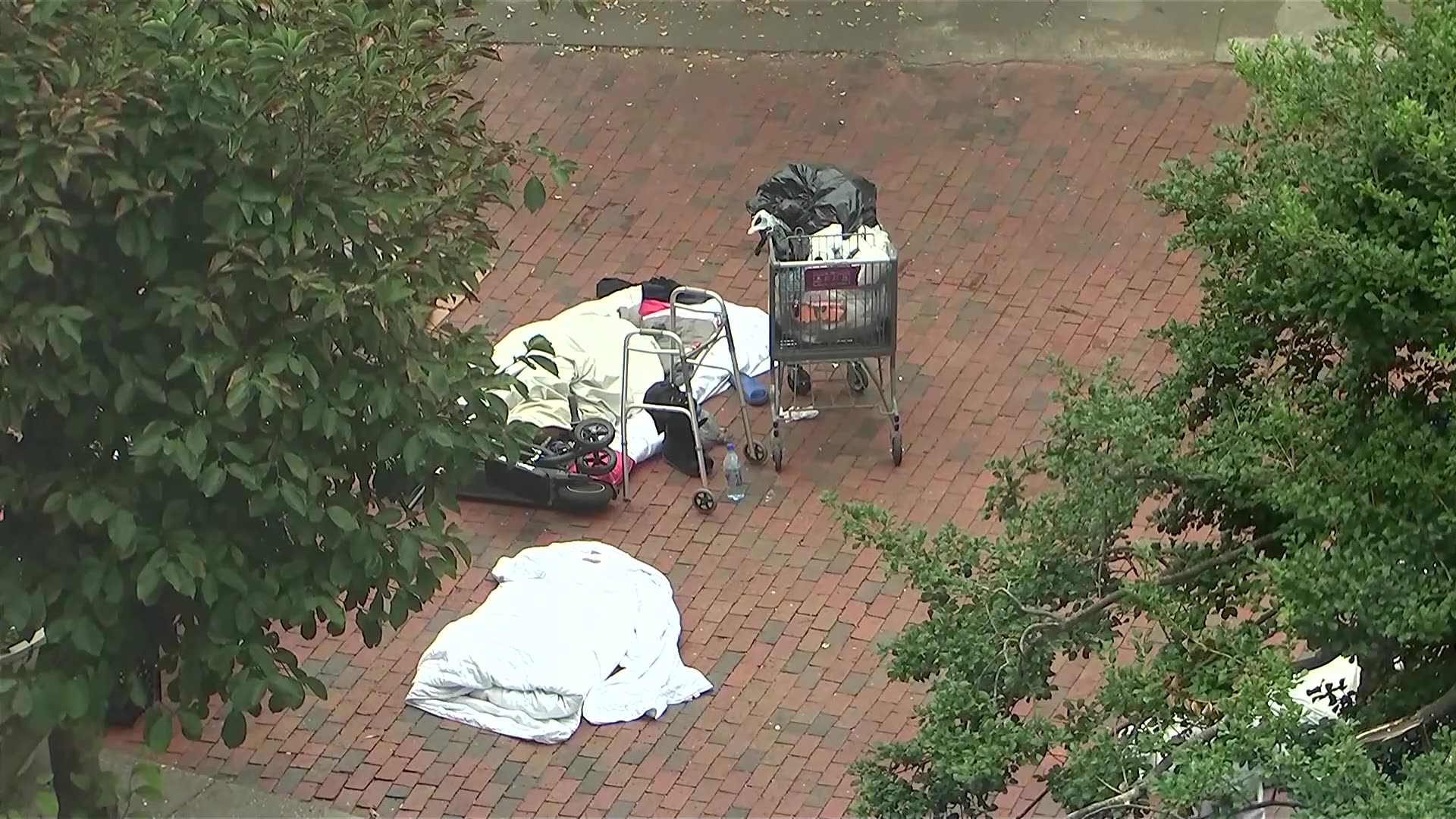 Trump wants to extend federal control over Washington police