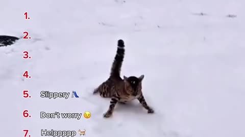 Cat being powerless 🐈🥺😥