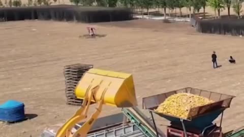 agricultural facts in the netherlands