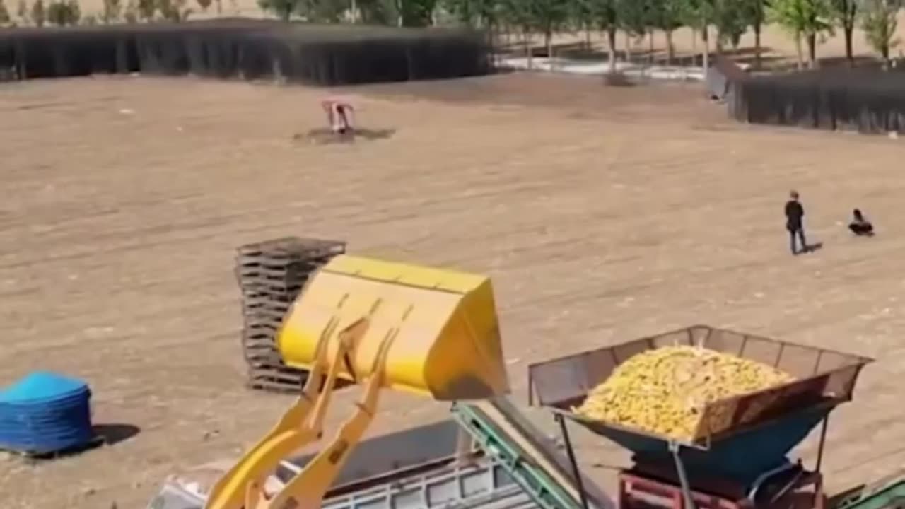 agricultural facts in the netherlands