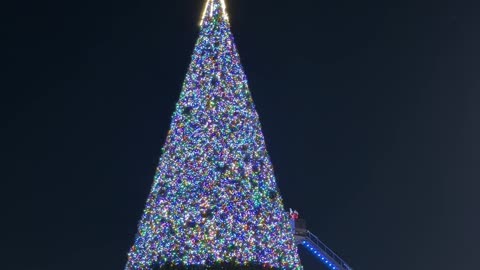 Christmas Tree Lighting Ceremony Fail