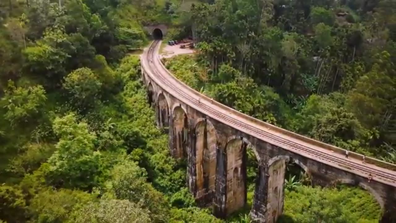 Would of sri lankan