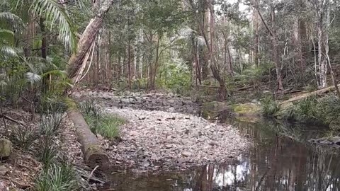 Terra Australis States Assembly - Why Assemble Part 1