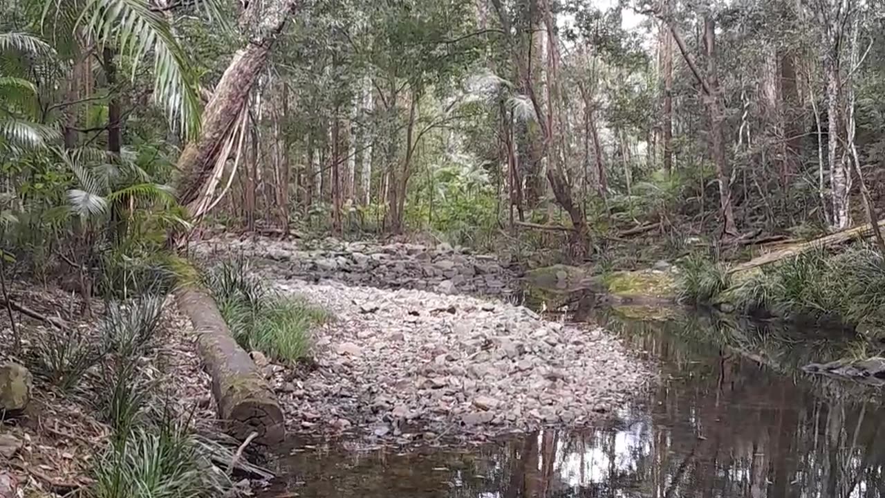 Terra Australis States Assembly - Why Assemble Part 1