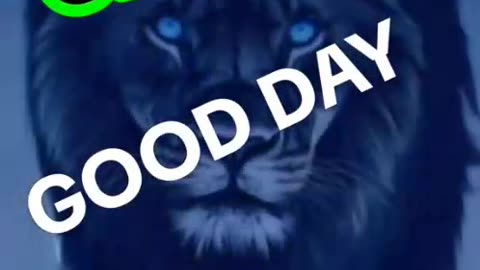 GROUP 8 - MEMBER YET ? (teaser 008) TOP TEAM ROB BUSER