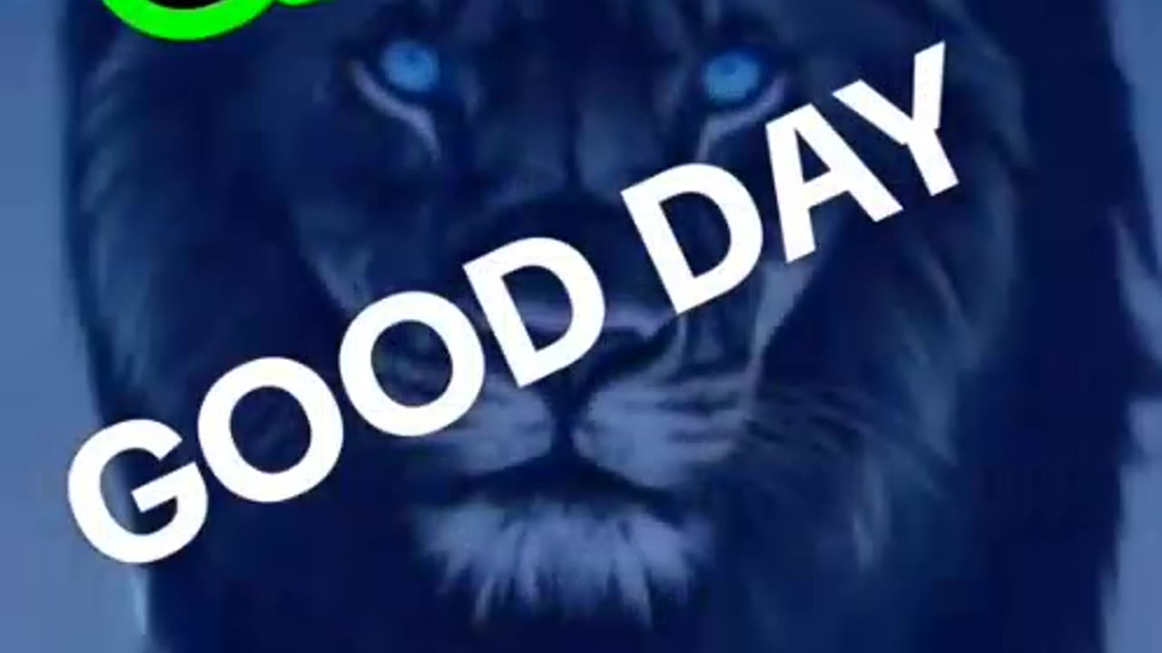 GROUP 8 - MEMBER YET ? (teaser 008) TOP TEAM ROB BUSER