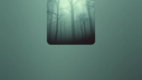 Mist of the Elderforest