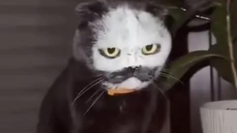 ILMB