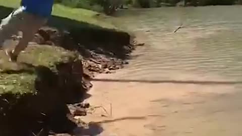 Viral funny video trending video interesting