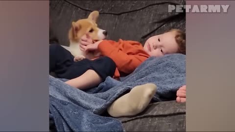 30 Minutes of Cutest Baby and Dog Friendships Ever!