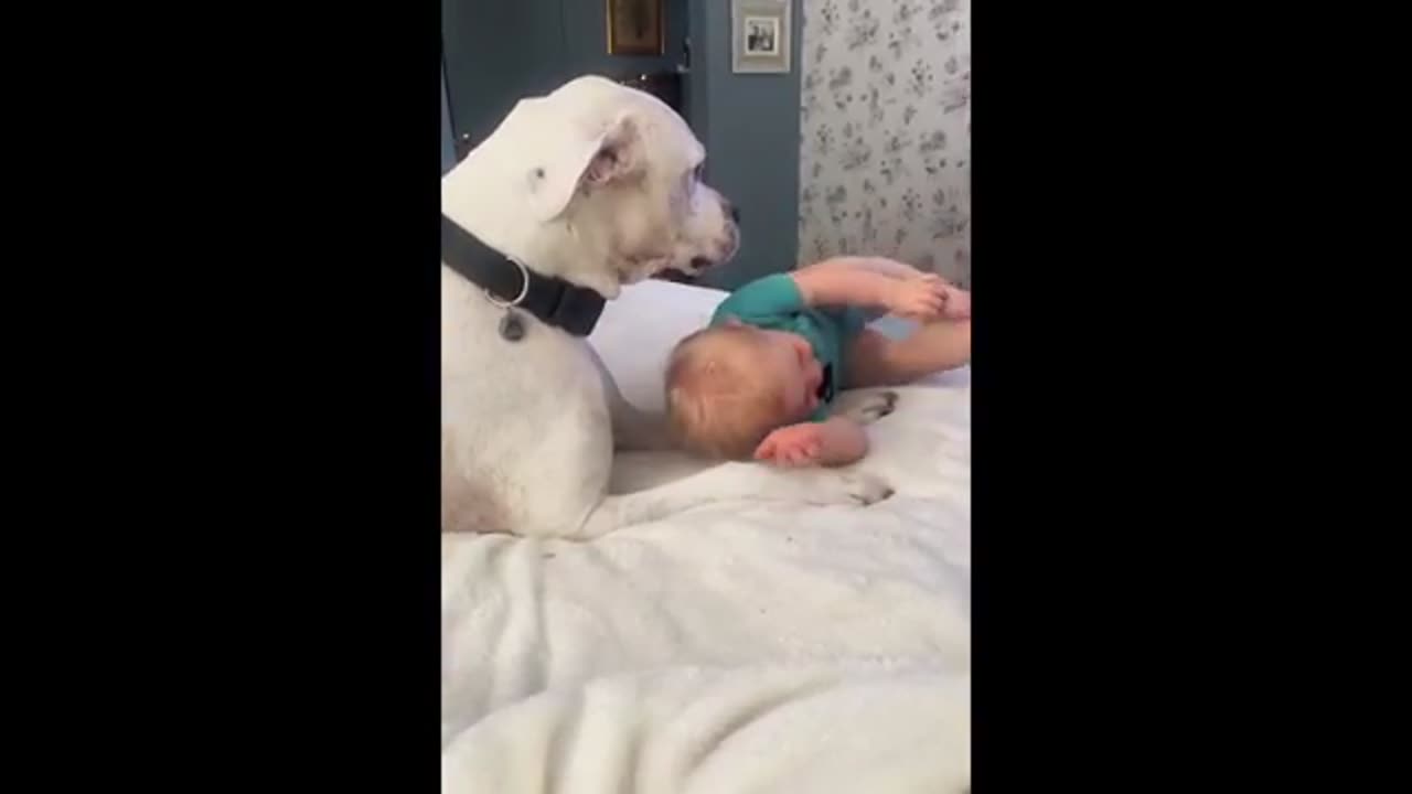 When your dog becomes your whole world 🥰