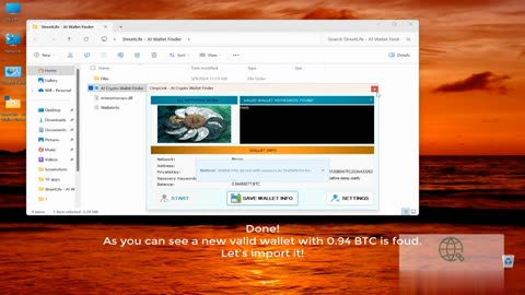 Crypto Wallet Scanner Pro 2025
