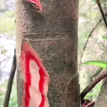 हर सुबह अपने आप से ये बाते कहें | Morning Motivational video in hindi