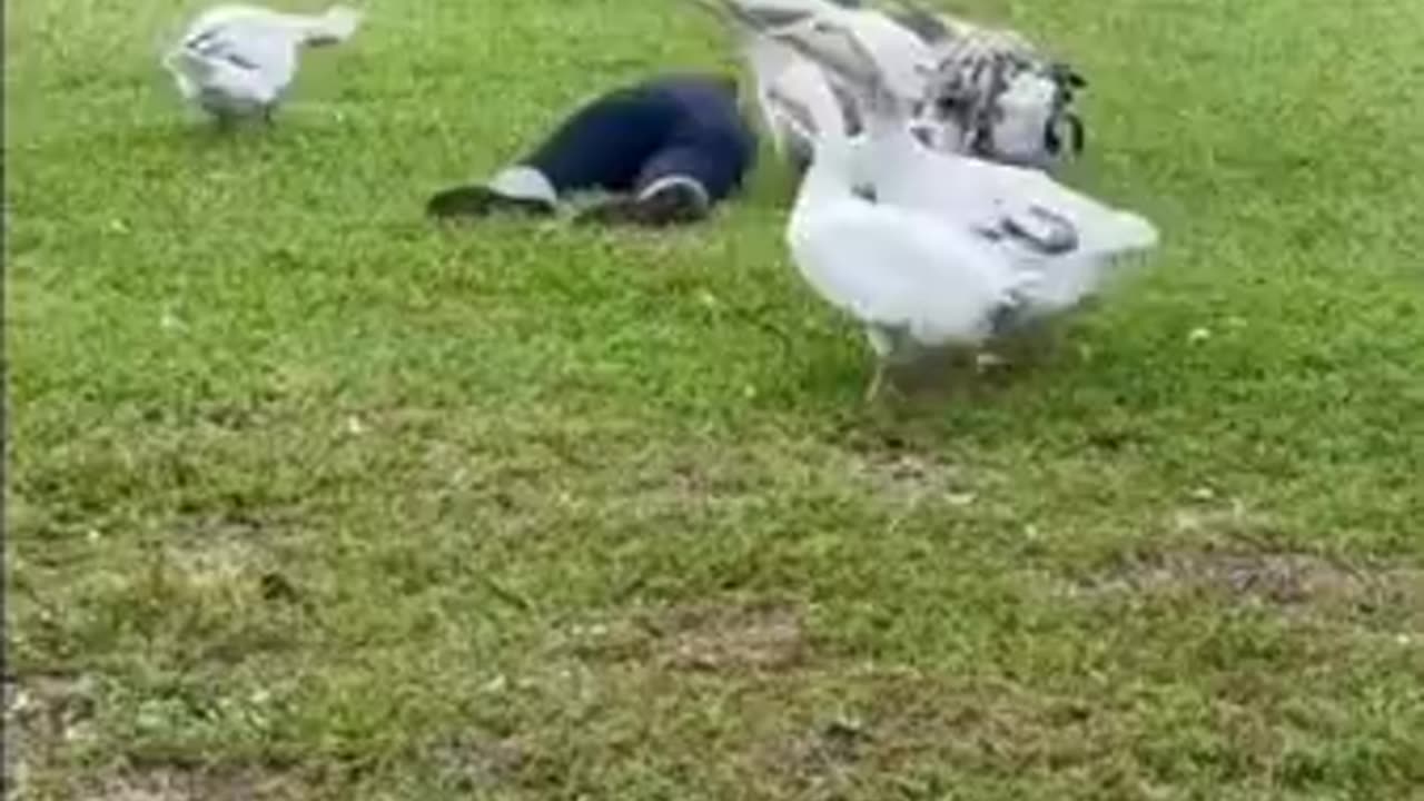 She’s fallen and she can’t get up sound the alarm