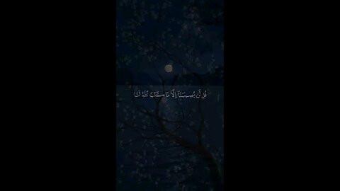 Quran by Maher Al Muqtiy