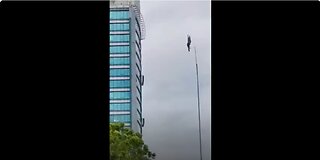 Bird gets "stuck" in mid air. Glitch in the matrix?