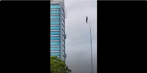 Bird gets "stuck" in mid air. Glitch in the matrix?