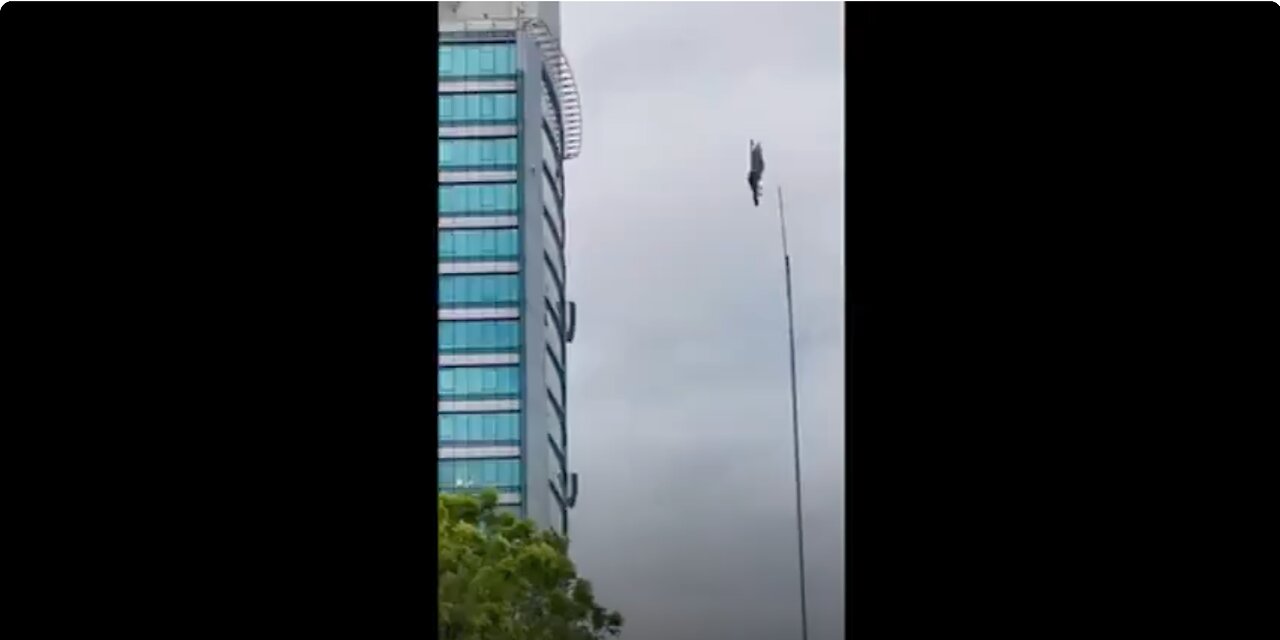 Bird gets "stuck" in mid air. Glitch in the matrix?