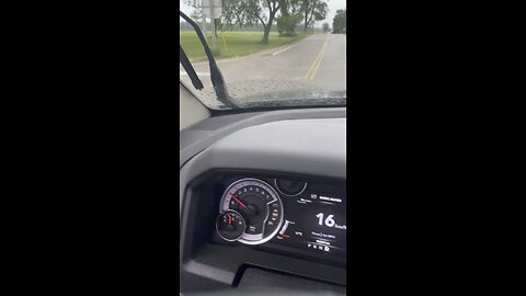 Fox of the run