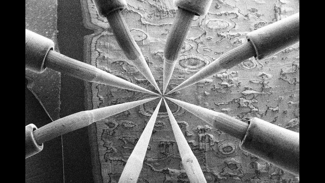 Is Science Broken? | MGTOW Talks With Adam Jensen